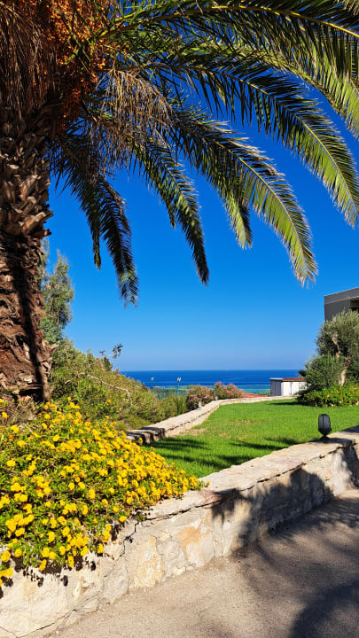 Gartenanlage Hotel Kalithea Horizon Royal