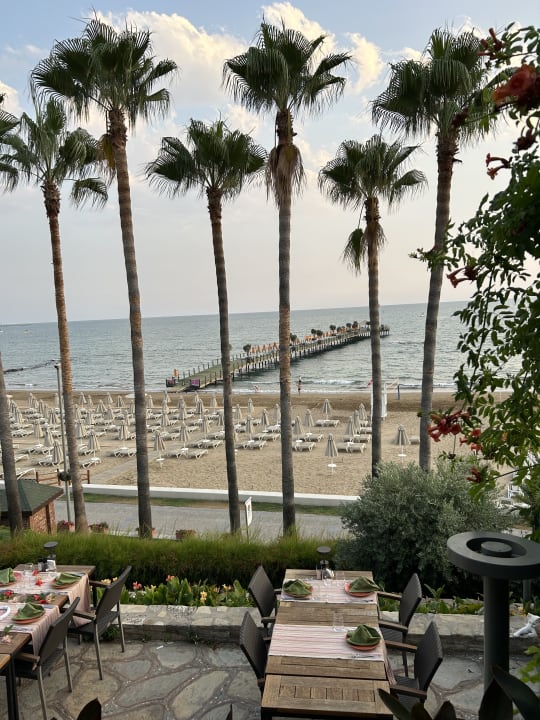 Gastro Arum Barut Collection