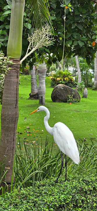 Außenansicht Vista Sol Punta Cana