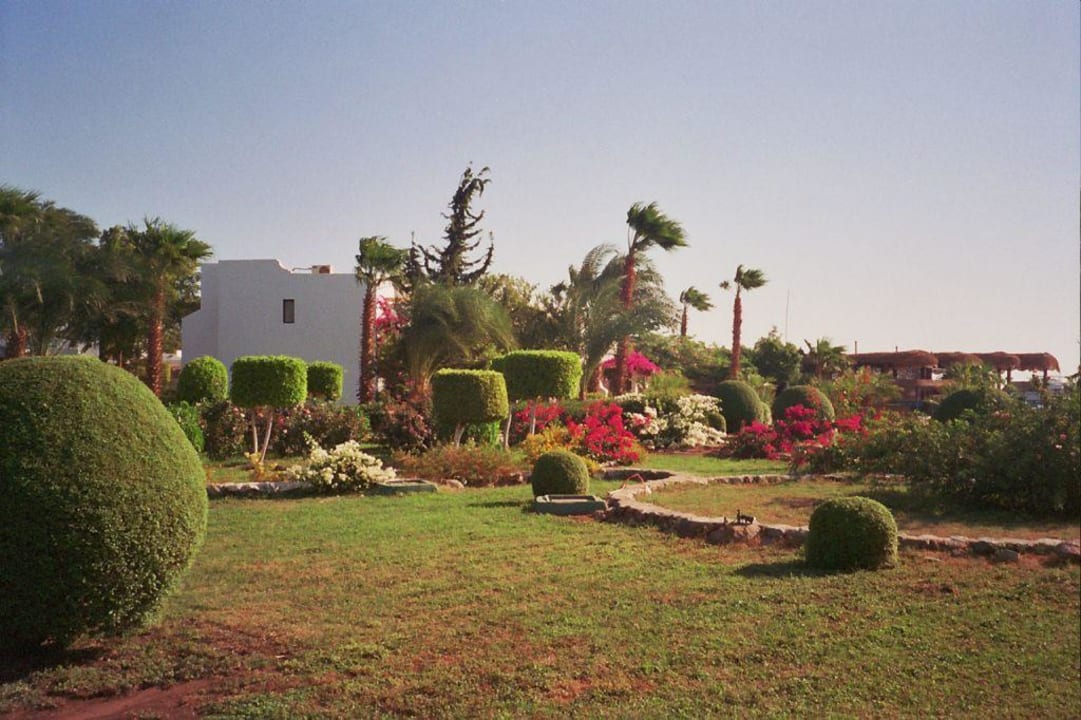 Gartenanlage Lotus Bay Beach Resort