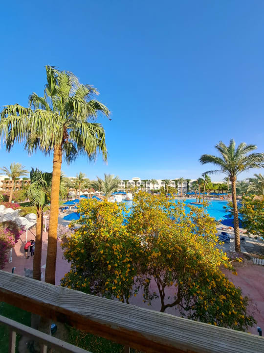 Ausblick Desert Rose