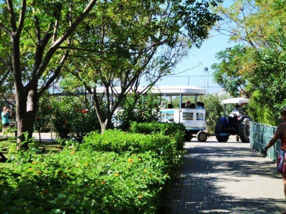 Stranshuttle Crystal Paraiso Aqua Collection