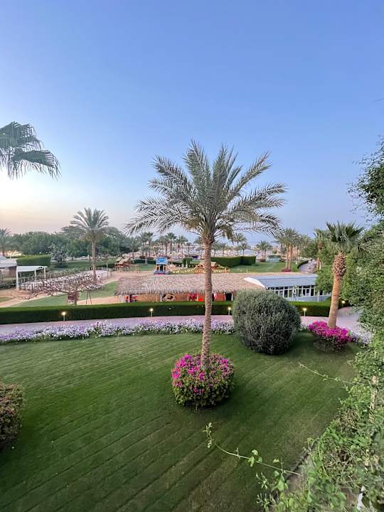 Gartenanlage Desert Rose