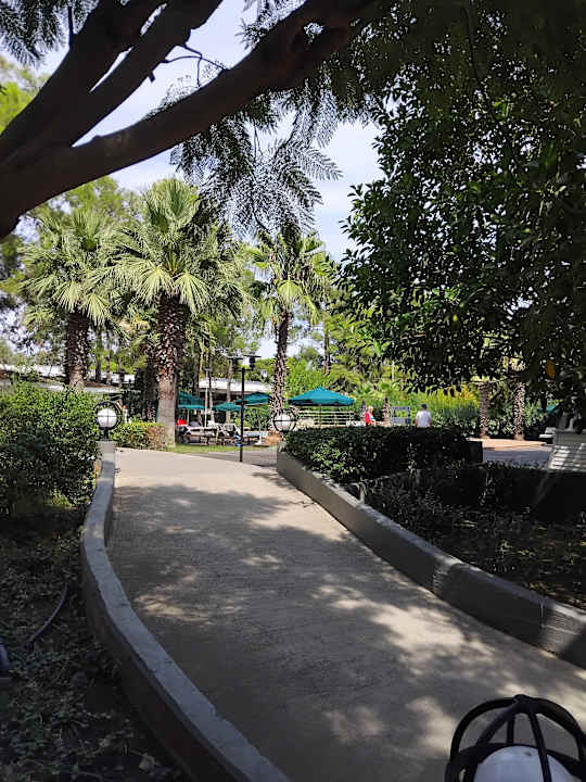 Gartenanlage Balmy Foresta