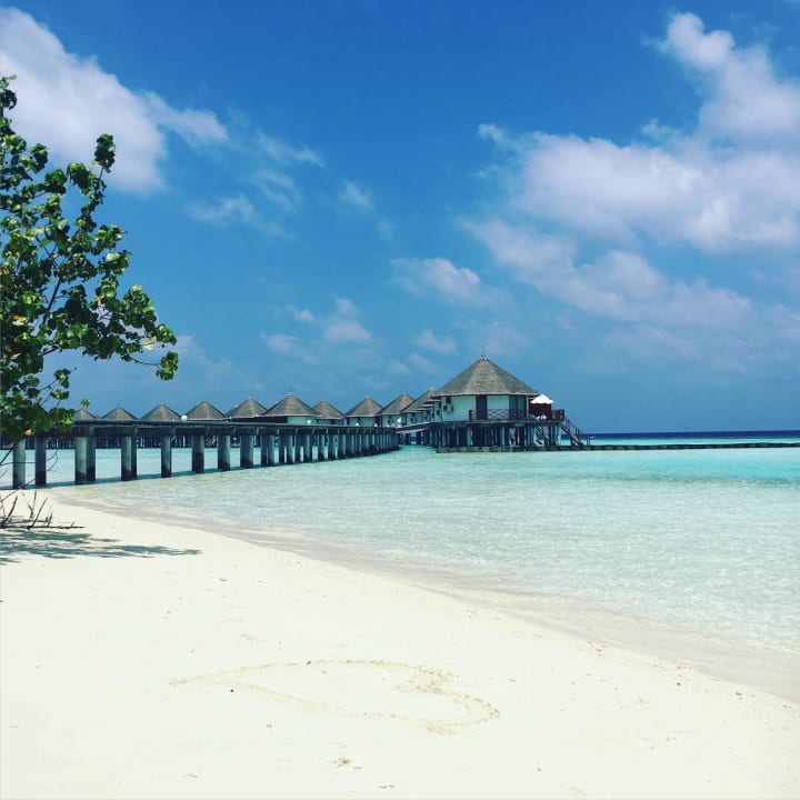 Strand Safari Island Maldives