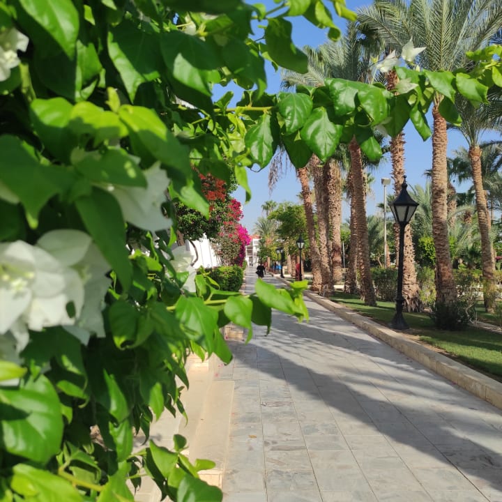 Gartenanlage The Grand Hotel Hurghada
