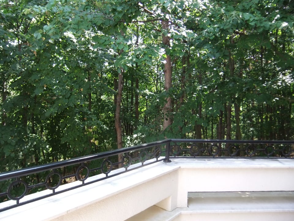 Blick aus Balkon auf Wald Dreibettzimmer Duni Royal Holiday Village