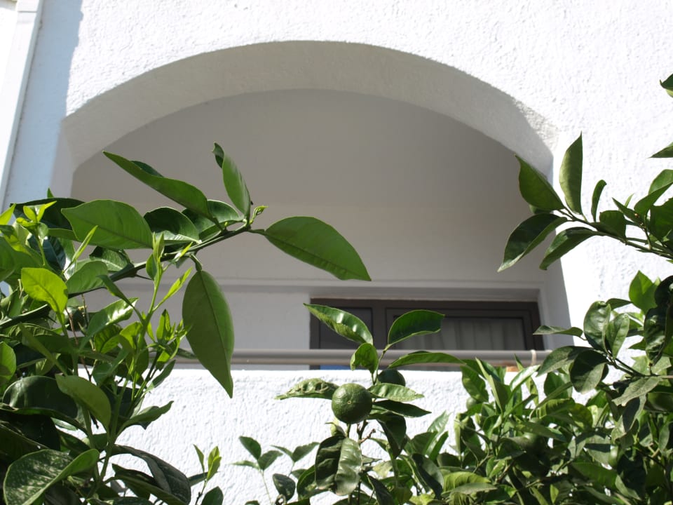 Zimmer Hotel Malia Holidays