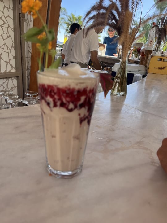 Gastro PALOMA Perissia