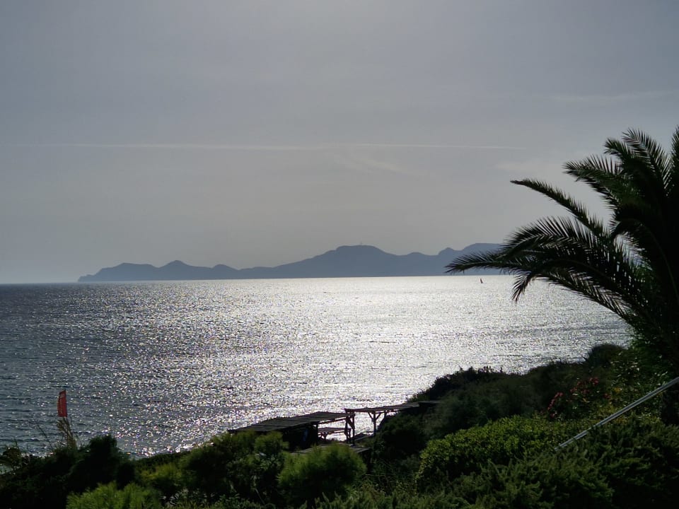 Ausblick ROBINSON DAIDALOS