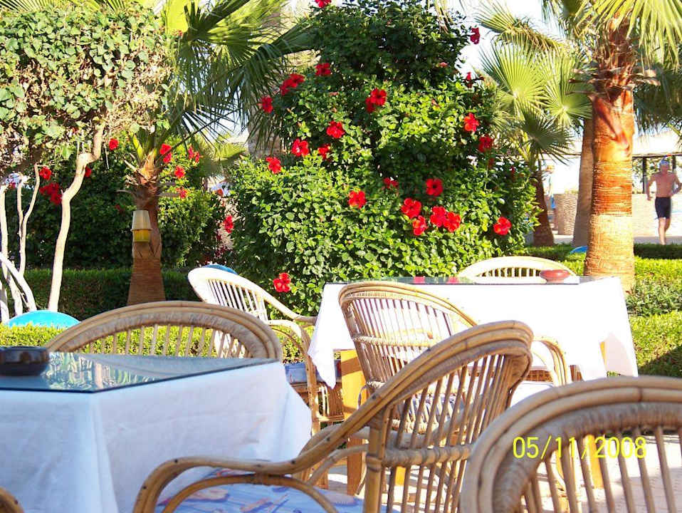 Przy basenie Sea Star Beau Rivage