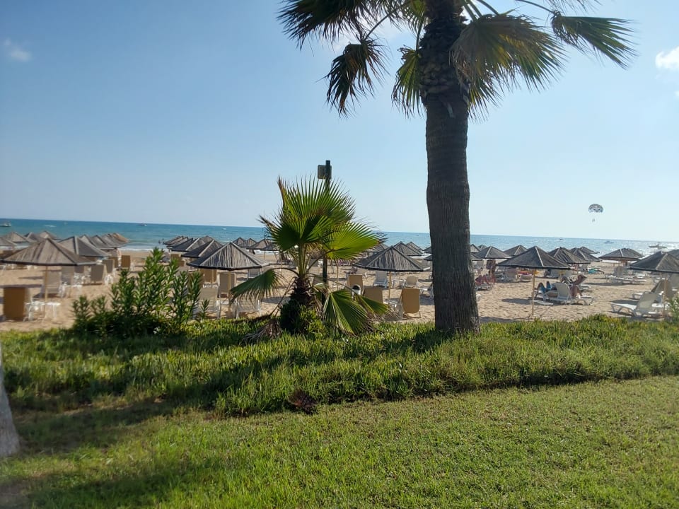 Gartenanlage Hotel Defne Garden