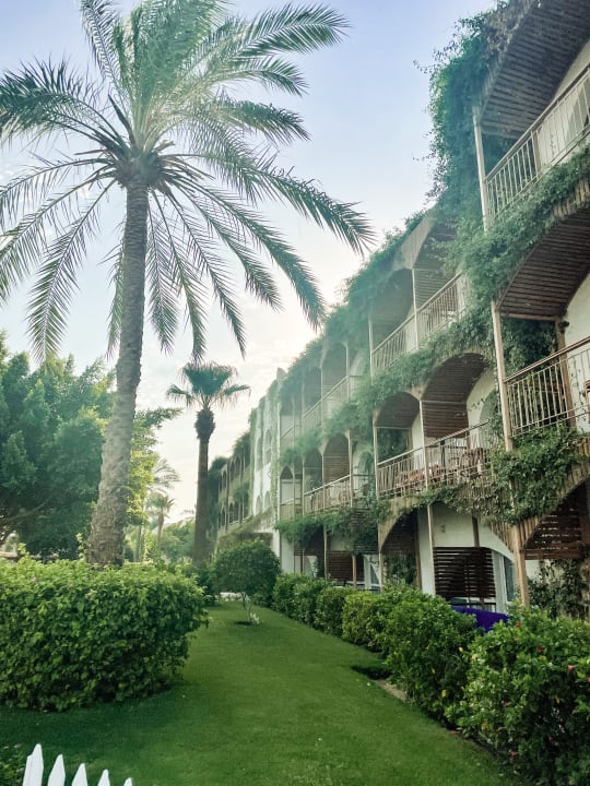 Außenansicht Desert Rose