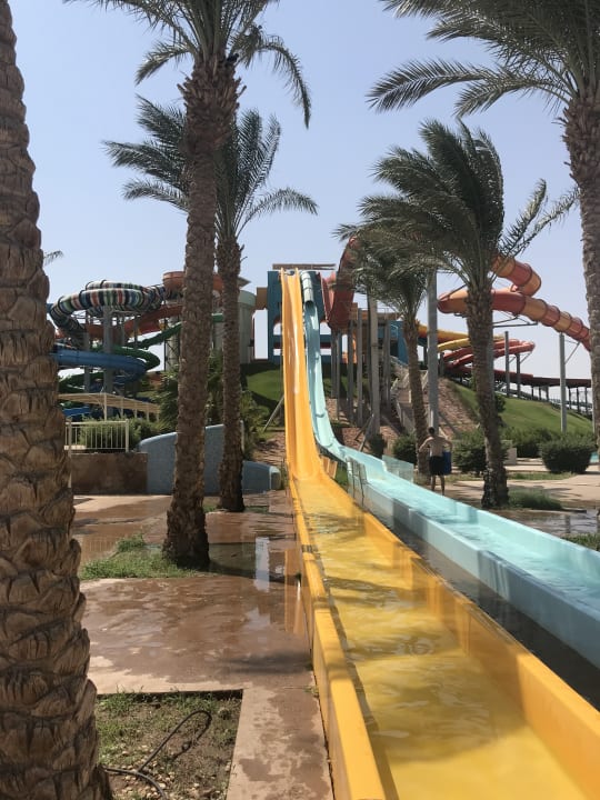 Sport & Freizeit JAZ Neo Saraya Palms