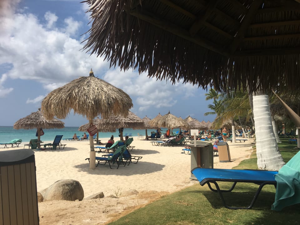 Strand Divi Aruba All Inclusive