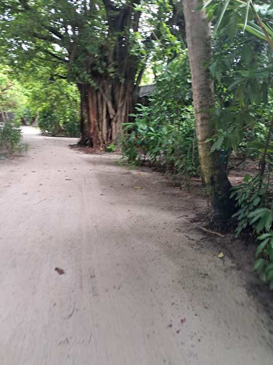 Gartenanlage Adaaran Select Meedhupparu Island Resort - Premium All Inclusive
