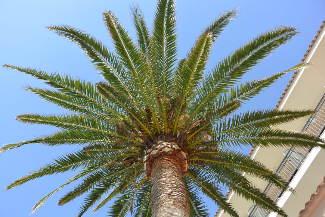 Gartenanlage R2 Lago Playa Park