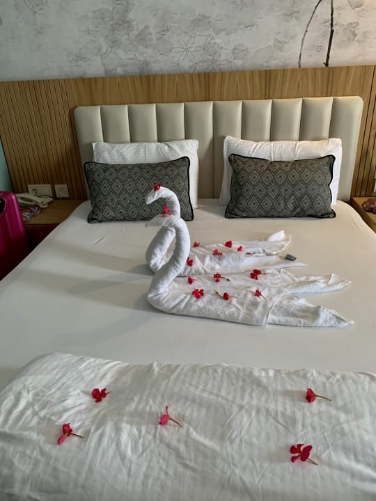 Zimmer Seaden Sea Planet Resort & Spa