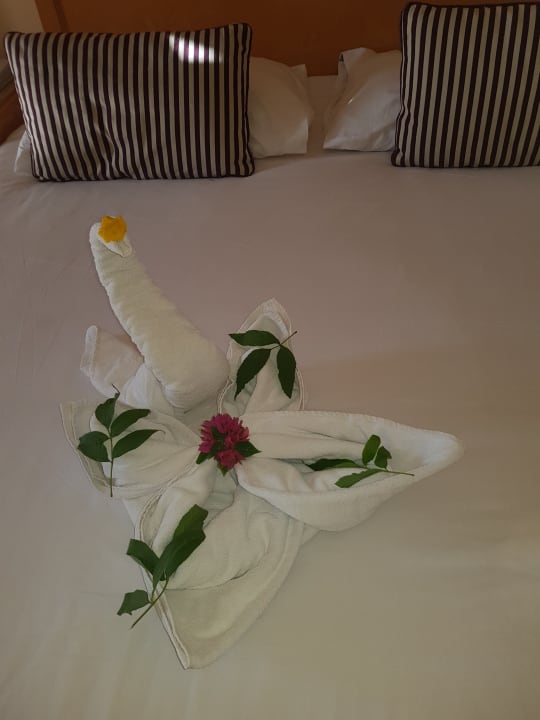 Zimmer Hotel JAZ Makadi Star & Spa