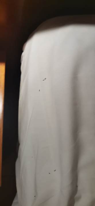 Zimmer Valentin Sancti Petri