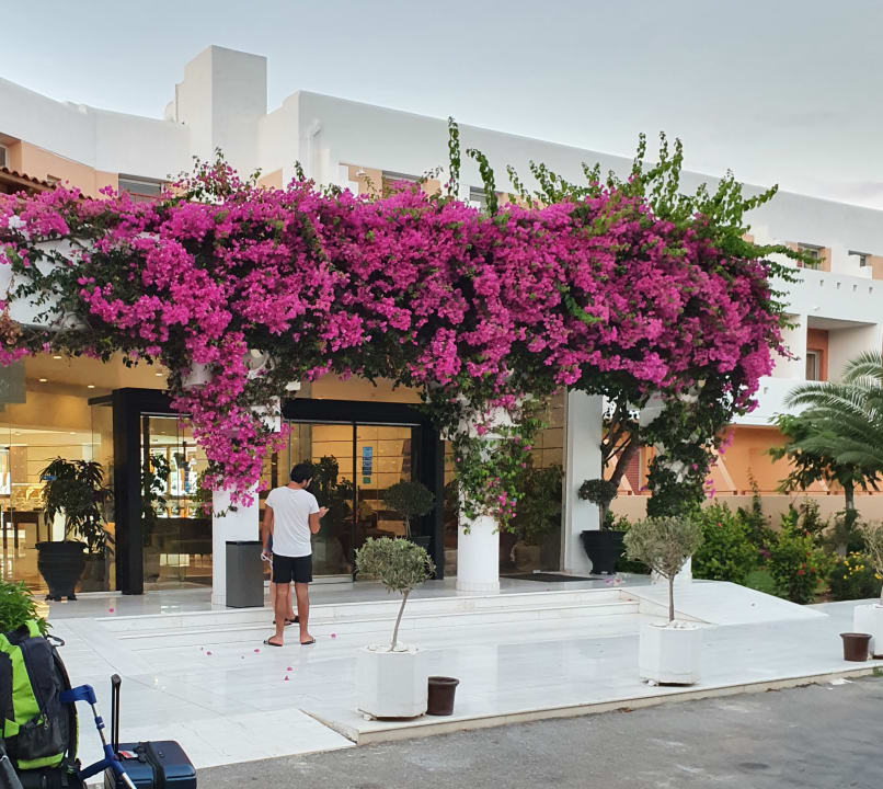 Sonstiges Anissa Beach & Village