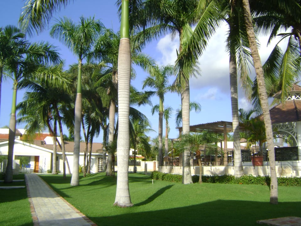 Zimmer Villas Bavaro Resort & Spa