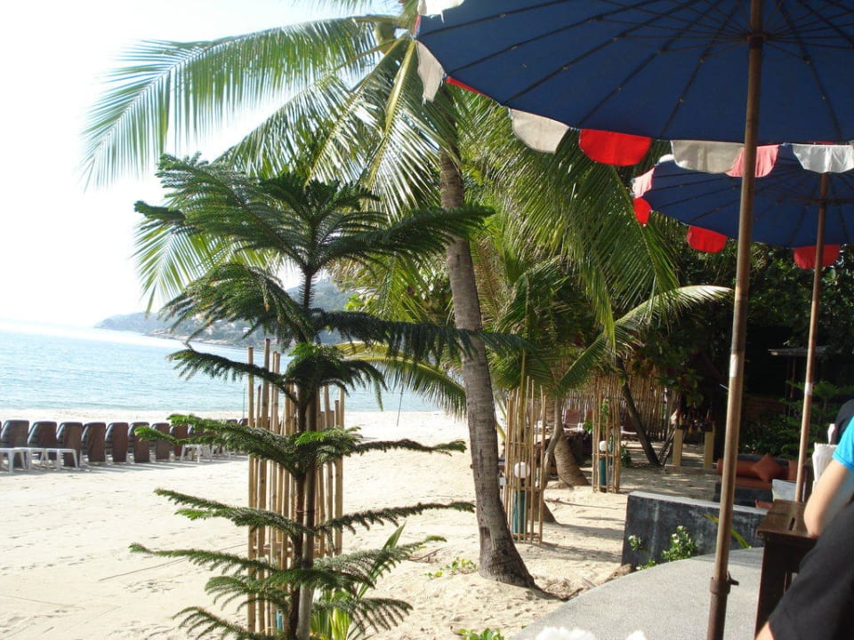 Unser Frühstücksplatz im Restaurant  The Fair House Beach Resort