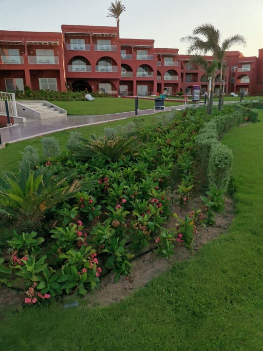 Gastro Pickalbatros Laguna Vista Hotel