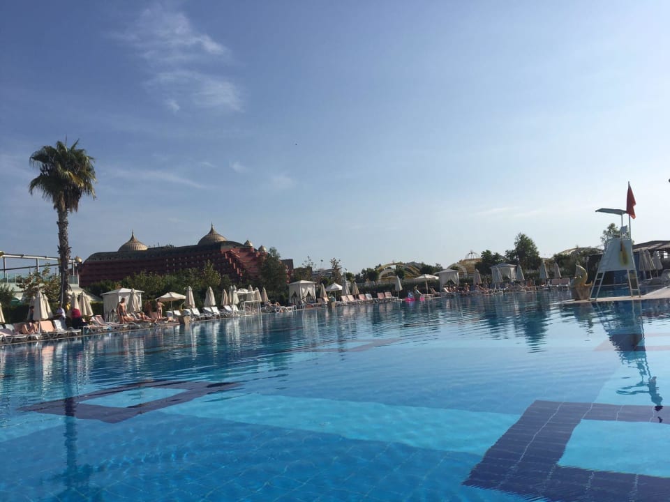 Pool Hotel Delphin Imperial