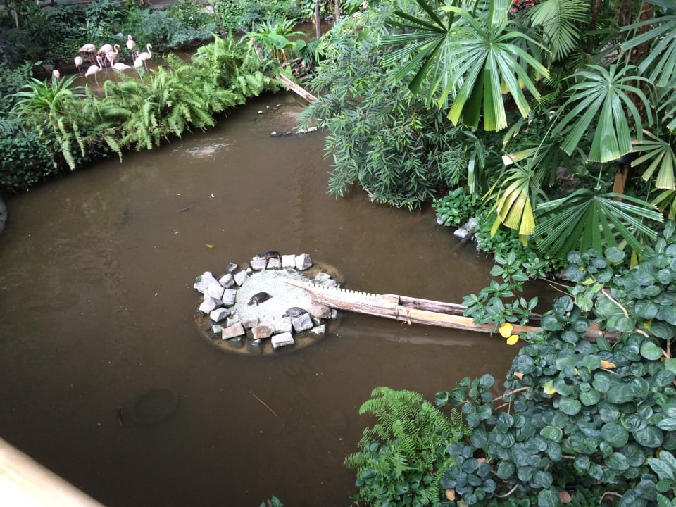 Sonstiges Tropical Islands Resort