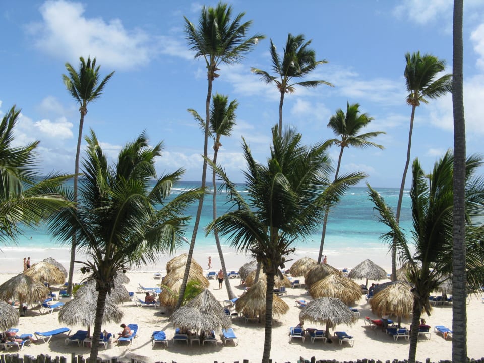 Ocean view Vik Hotel Arena Blanca & Cayena Beach