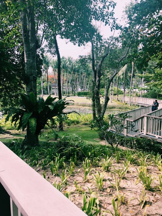 Gartenanlage Dusit Thani Krabi Beach Resort