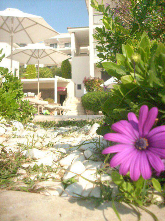 Liebe zum Detail Ikos Oceania