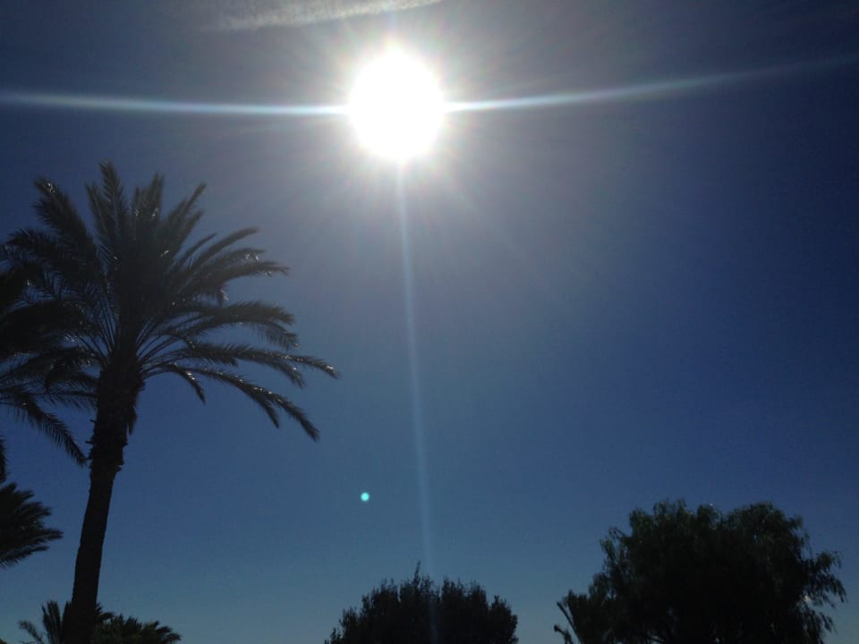 Wunderschön Occidental Jandía Mar