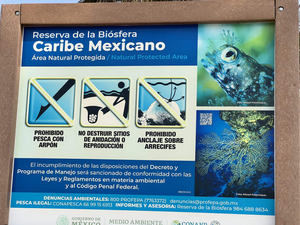 Strand Akumal Bay Beach & Wellness Resort