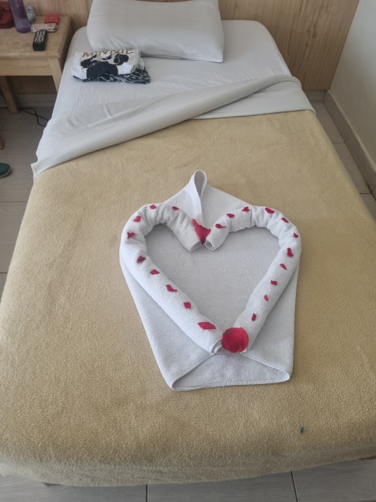 Zimmer Shams Safaga Resort