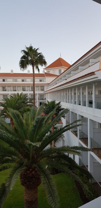Gartenanlage Hotel Riu Arecas - Adults only