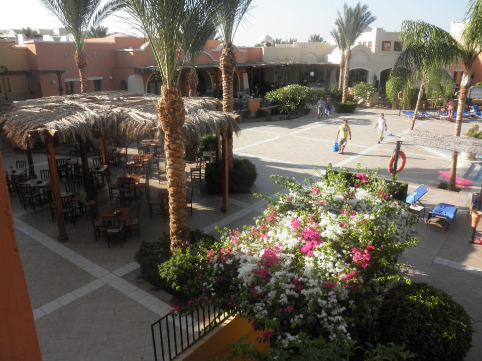 Blick auf die Poolbar! Jaz Dar EL Madina
