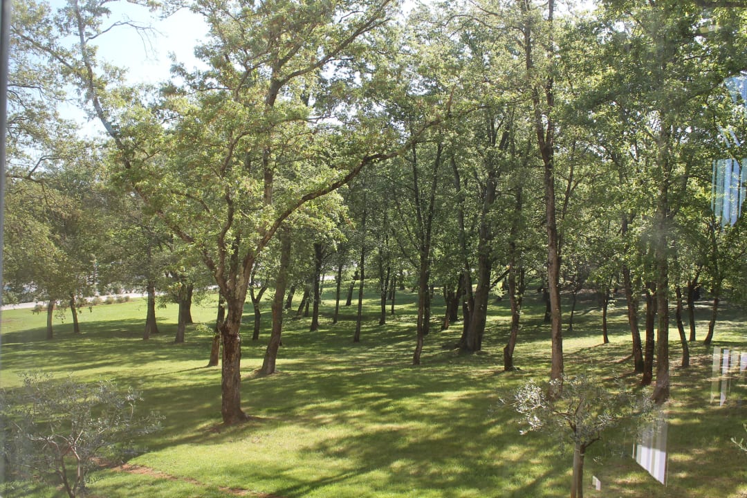 Widok z okna hotelu na park Hotel Molindrio Plava Laguna