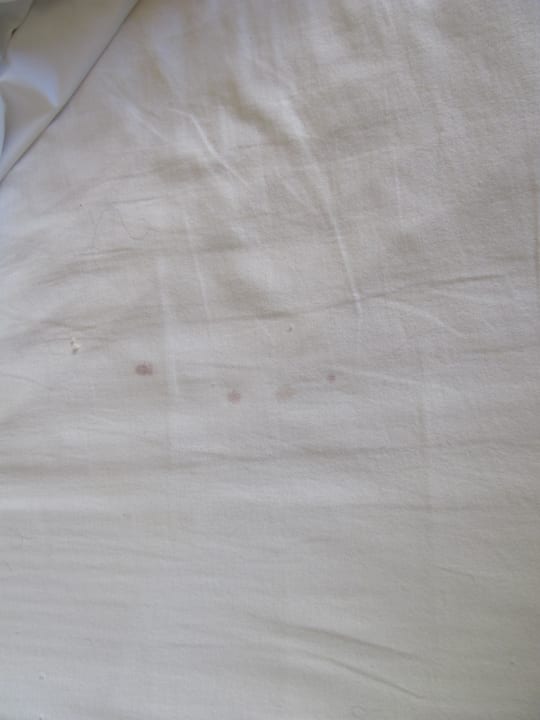 Flecken, welche? Blut? Hotel Median Paris Porte de Versailles