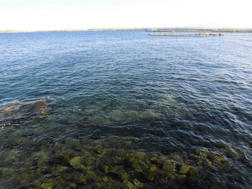 Rechte Seite von strand, neben dem Palace Beach Albatros Resort