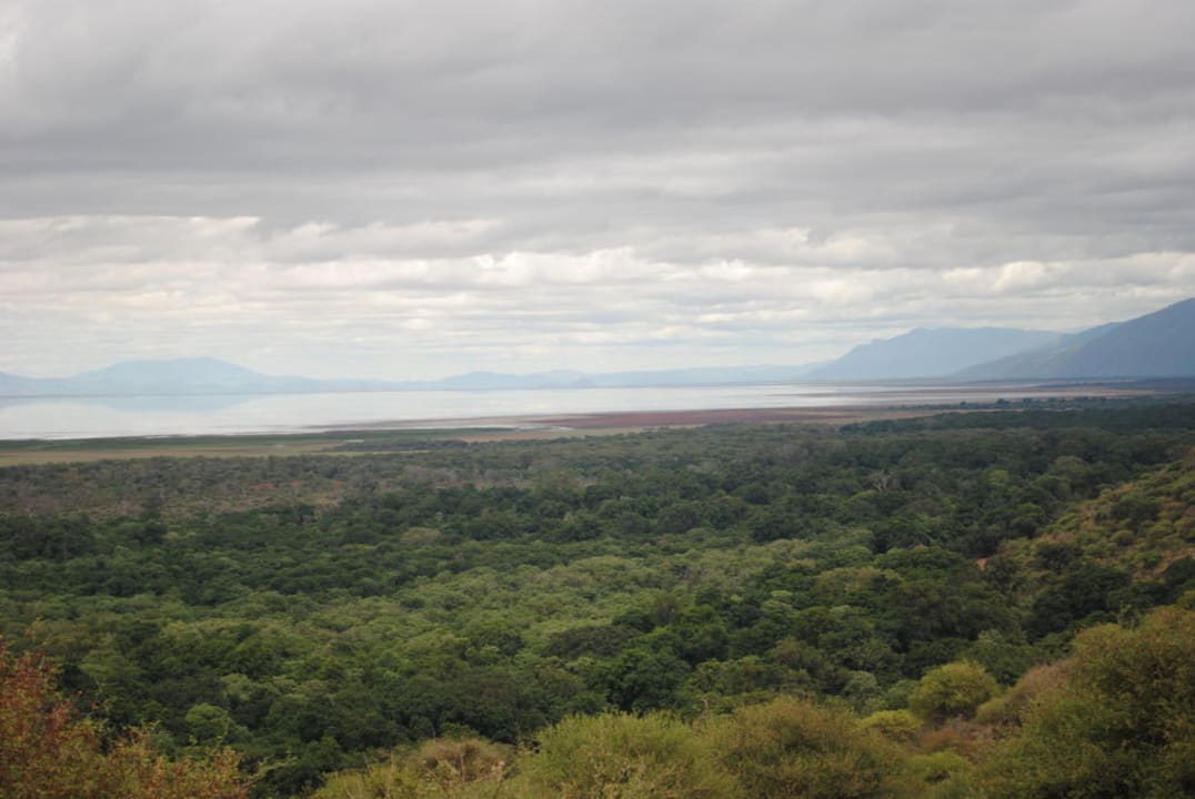 Aussicht Lake Manyara Serena Safari Lodge