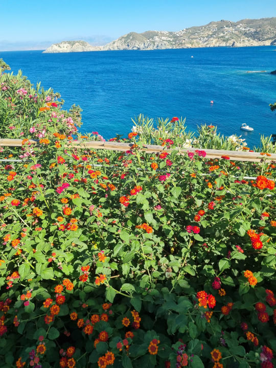 Gartenanlage Seaside A Lifestyle Resort