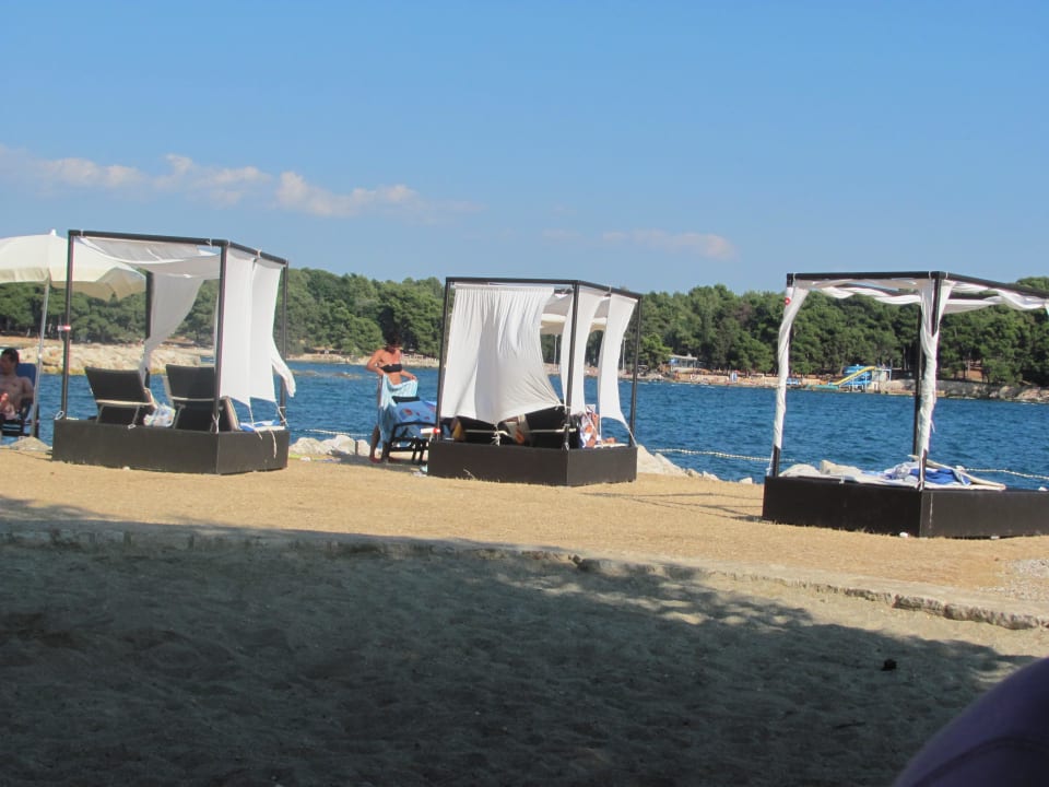 Strand mit gemütlichen Liegen Valamar Riviera Hotel & Residence