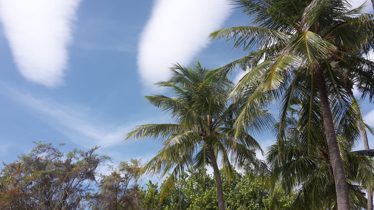 Ausblick Kuredu Island Resort & Spa