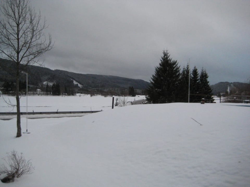 Ausblick Sonnenmatte-Titisee B+B Hotel Guesthouse