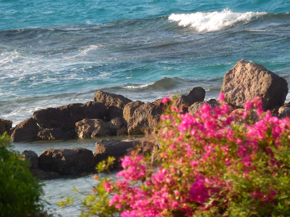 Strand Pickalbatros Citadel Resort