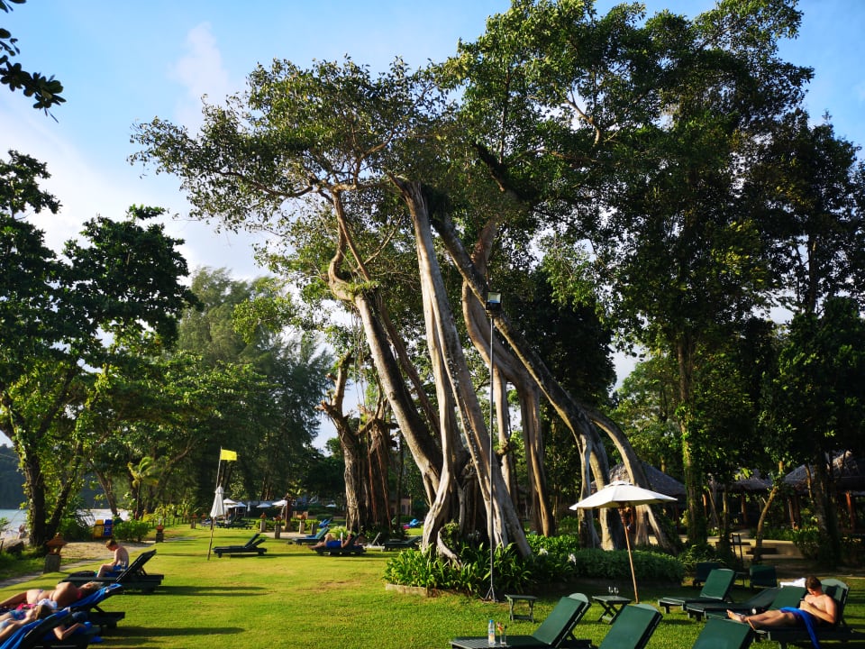 Gartenanlage Khao Lak Merlin Resort