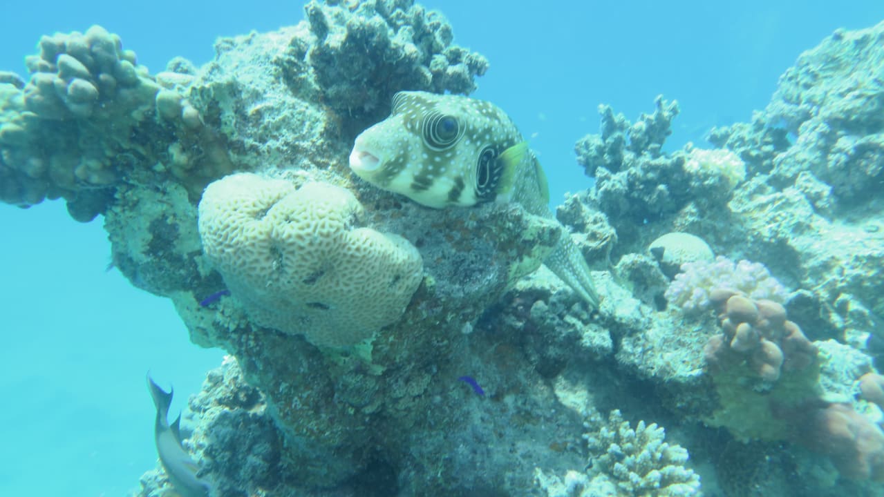 Sport & Freizeit Brayka Bay Resort