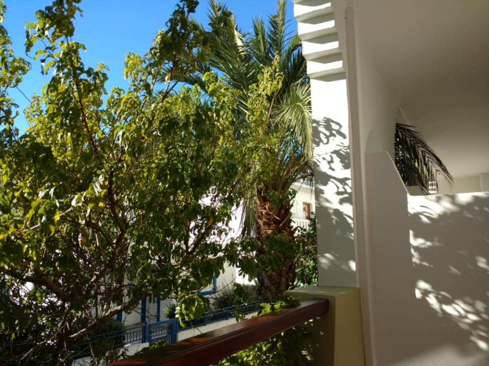 Ausblick Alianthos Garden Hotel